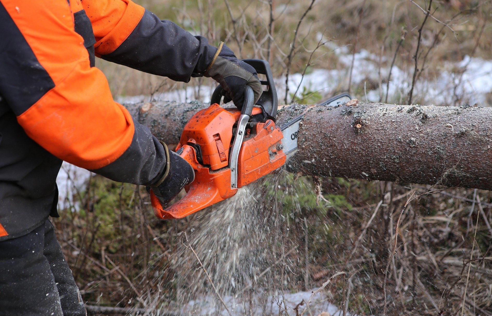 Chain Saw Cutting 